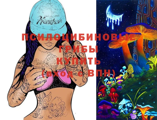 PSILOCYBIN Зерноград