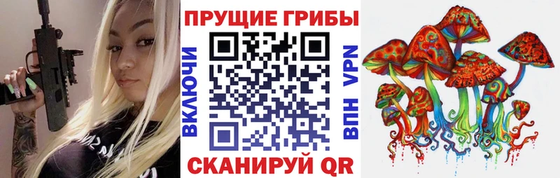 Псилоцибиновые грибы прущие грибы  Купить закладки  Еманжелинск 
